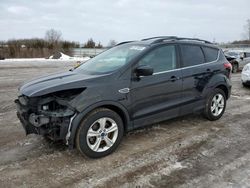 Salvage cars for sale at Columbia Station, OH auction: 2015 Ford Escape SE