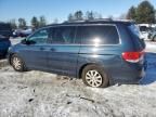 2010 Honda Odyssey EX