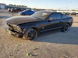 Salvage cars for sale at Harleyville, SC auction: 2008 Ford Mustang