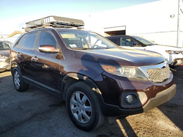 2011 KIA Sorento Base