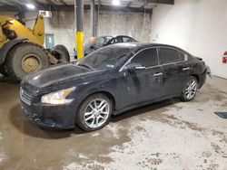 2010 Nissan Maxima S en venta en Chalfont, PA