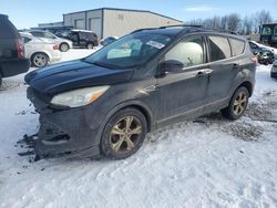 Salvage cars for sale at Wayland, MI auction: 2013 Ford Escape SE