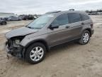 2009 Honda CR-V EX