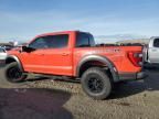 2023 Ford F150 Raptor