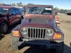 2002 Jeep Wrangler / TJ Sport