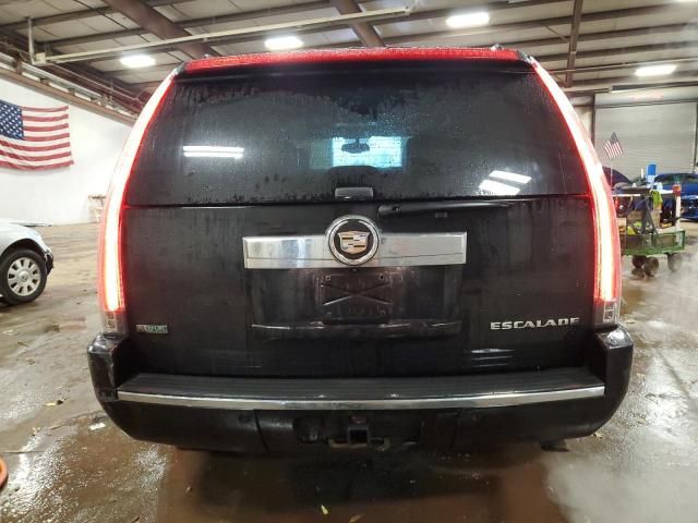 2010 Cadillac Escalade Luxury