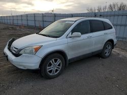 Salvage cars for sale at Greenwood, NE auction: 2011 Honda CR-V EXL