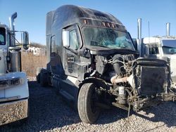 Salvage trucks for sale at Avon, MN auction: 2021 Freightliner Cascadia 126