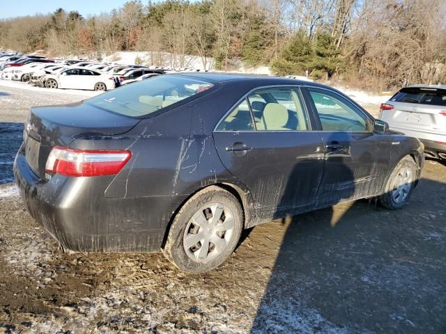 2009 Toyota Camry Hybrid