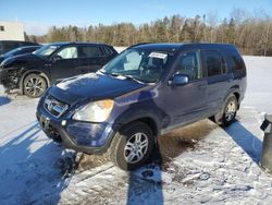 Salvage cars for sale at Cookstown, ON auction: 2004 Honda CR-V EX