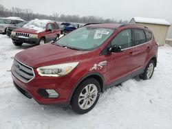 Salvage cars for sale at auction: 2017 Ford Escape SE