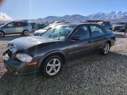 Salvage cars for sale at Magna, UT auction: 2001 Nissan Maxima GXE