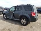 2009 Ford Escape Limited