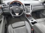 2010 Cadillac SRX Luxury Collection