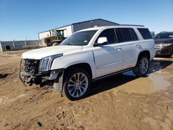 2017 Cadillac Escalade Premium Luxury en venta en Amarillo, TX