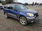 2004 Toyota Rav4