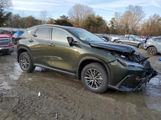 2025 Lexus NX 350H Base