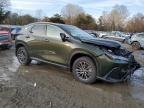 2025 Lexus NX 350H Base