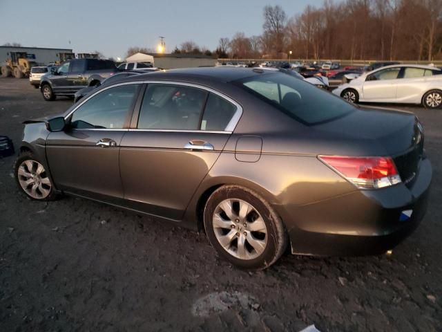 2010 Honda Accord EXL