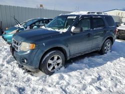 2012 Ford Escape XLT en venta en Albany, NY