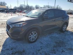 Salvage cars for sale at Columbus, OH auction: 2019 Hyundai Tucson SE