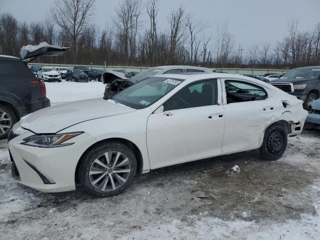 2021 Lexus ES 250 Base