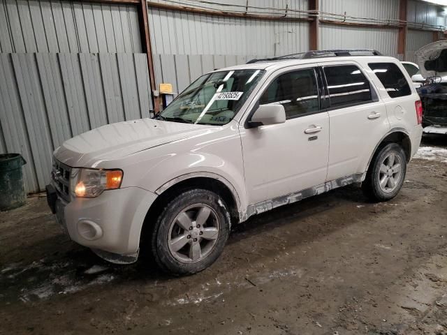 2011 Ford Escape Limited