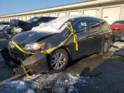 Salvage cars for sale at Louisville, KY auction: 2016 Honda Odyssey EXL