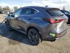 2024 Lexus NX 450H Luxury