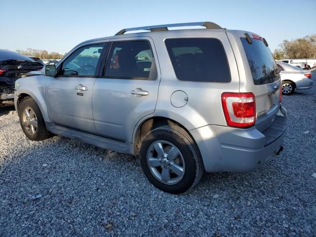 2011 Ford Escape Limited