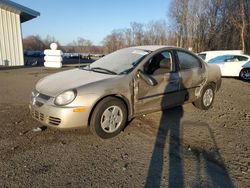 Dodge Vehiculos salvage en venta: 2003 Dodge Neon SE