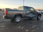 2009 Dodge Dakota SXT