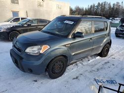 Salvage cars for sale at Cookstown, ON auction: 2011 KIA Soul +