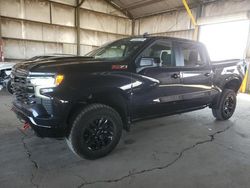 Salvage cars for sale at Phoenix, AZ auction: 2023 Chevrolet Silverado K1500 LT Trail Boss