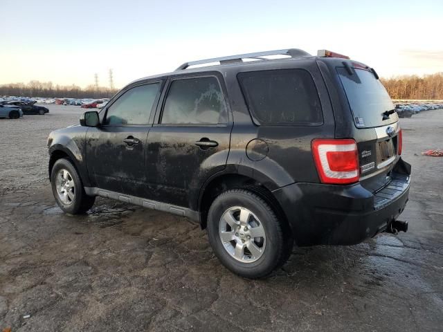 2011 Ford Escape Limited