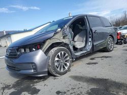 Salvage cars for sale from Copart Grantville, PA: 2024 Honda Odyssey EXL