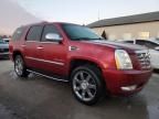 2008 Cadillac Escalade Luxury