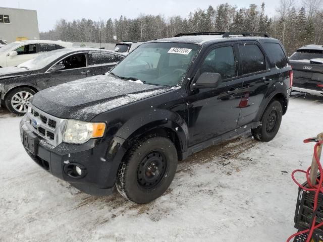 2012 Ford Escape XLT