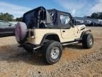 1993 Jeep Wrangler / YJ