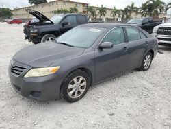 Salvage cars for sale at Opa Locka, FL auction: 2011 Toyota Camry Base