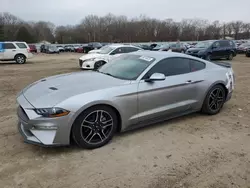 Ford Vehiculos salvage en venta: 2021 Ford Mustang