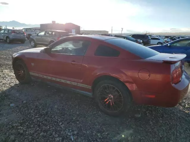 2009 Ford Mustang