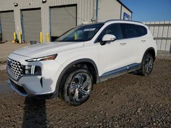 Salvage cars for sale at Memphis, TN auction: 2023 Hyundai Santa FE SEL Premium