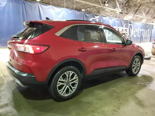 2021 Ford Escape SEL