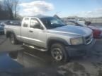 2008 Dodge Dakota SXT