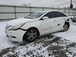 Hyundai Vehiculos salvage en venta: 2013 Hyundai Sonata SE