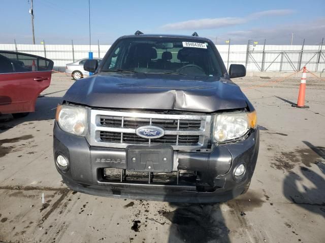 2011 Ford Escape XLT