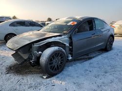 Salvage cars for sale at Pennsburg, PA auction: 2024 Tesla Model 3