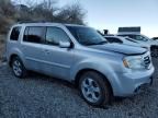 2014 Honda Pilot EXL