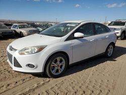 Salvage cars for sale at Albuquerque, NM auction: 2014 Ford Focus SE